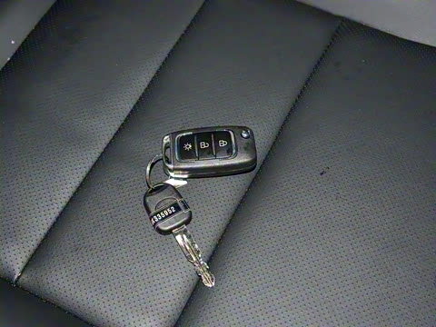 2021�� 1.5L �ͳ�����ʨ 6��