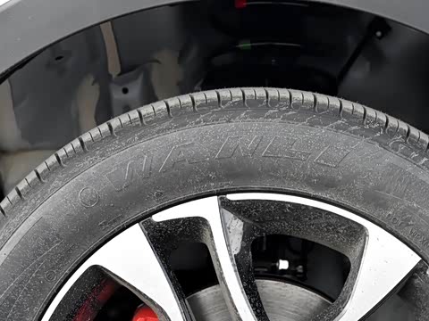 2017�� 2.0T �ֶ�CCPC�ھ���