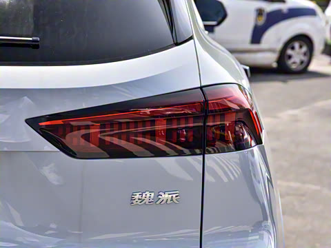 2021�� 2.0T ������Ũ��