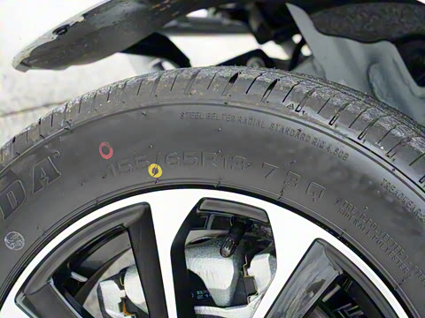 2021�� �ֶ��