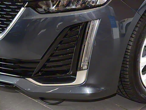 2021�� �Ŀ� 28T ������