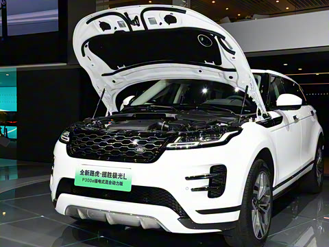 2021�� ����L P300e ������