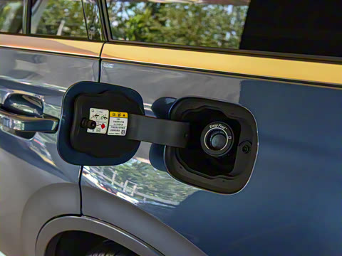 2021�� 3.0T V6 ������ͳ��