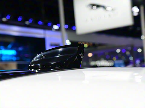 2021�� ����L P300e ������