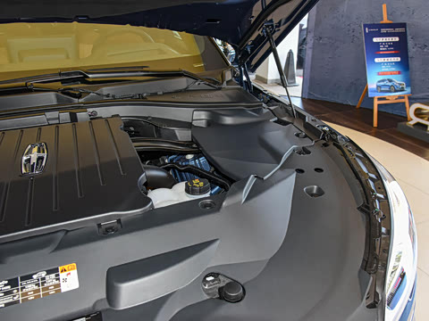 2021�� 3.0T V6 ������ͳ��