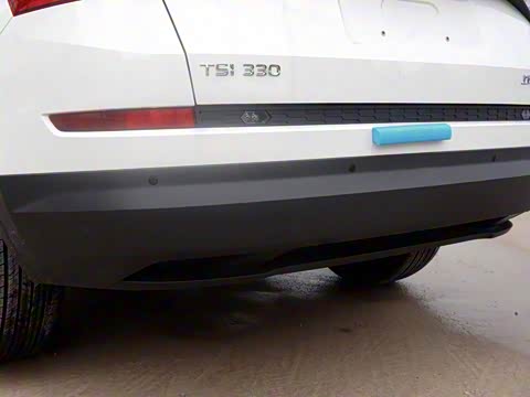 2017�� TSI330 5��������׼��