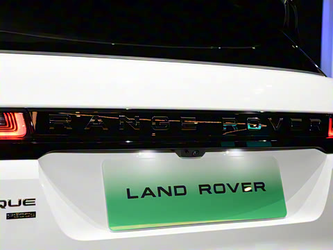 2021�� ����L P300e ������