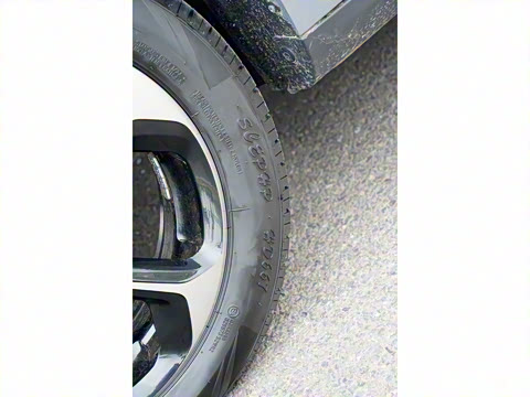 2021�� ������