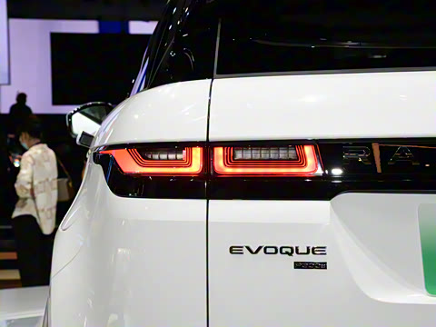 2021�� ����L P300e ������