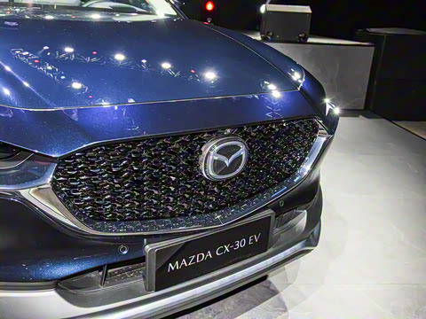 2021�� ����������