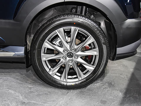 2021�� ����������