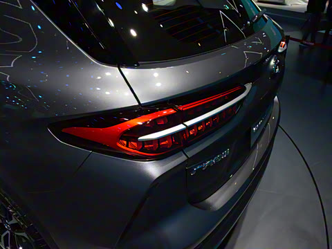 2021�� 390T �Զ��Ǽʰ�