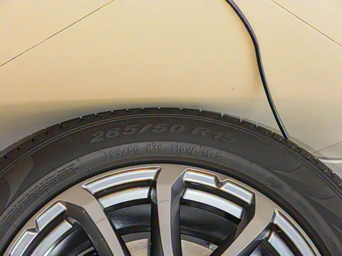 2021�� 3.0T ��׼��