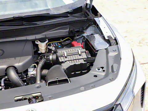 2021�� 260T ������