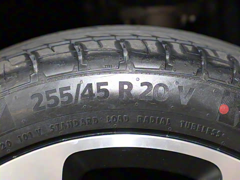 2021�� ������