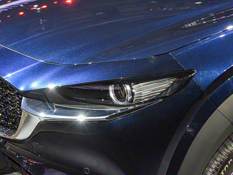 2021�� ����������