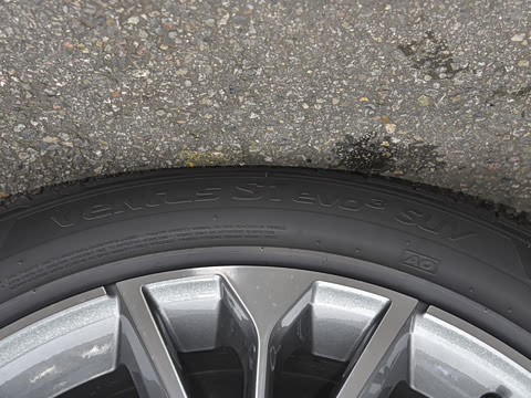 2022�� 55 TFSI ����������