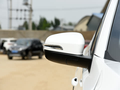 2021�� ������ 390TGDI �Զ���ҡ��