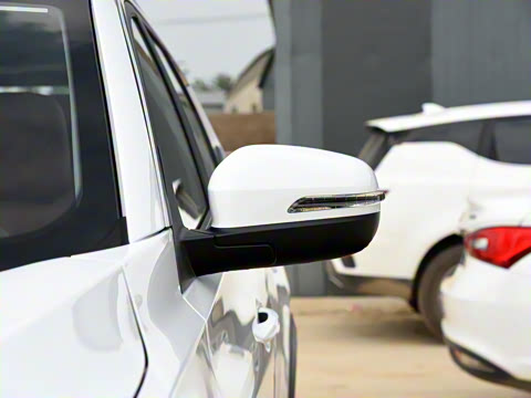 2021�� ������ 390TGDI �Զ���ҡ��