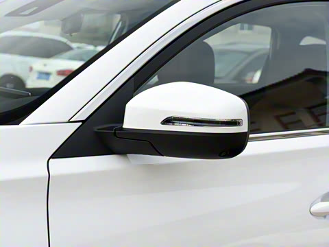 2021�� ������ 390TGDI �Զ���ҡ��