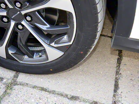 2021�� LITE+ ������