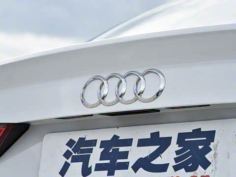 2018�� 30�������� Limousine 35 TFSI ��ȡ��