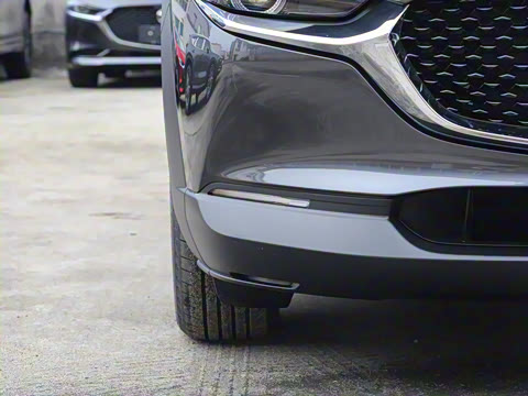 2021��  2.0L �Զ�������