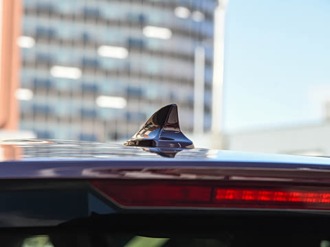 2021�� EcoBoost 225 ������PLUS 7����2/2/3��