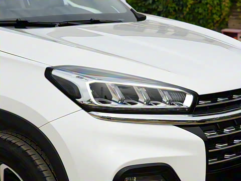 2021�� ������ 390TGDI �Զ���ҡ��