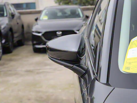 2021��  2.0L �Զ�������