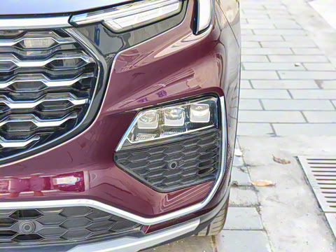 2021�� EcoBoost 225 ������PLUS 7����2/2/3��