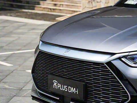 2021�� DM-i 110KM �콢PLUS