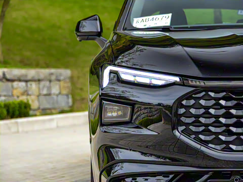 2022�� EcoBoost 245 ST-Line