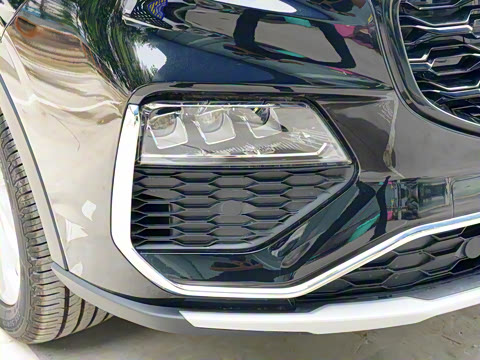 2021�� EcoBoost 225 ������ 6��