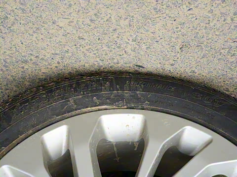 2021�� EcoBoost 225 ������ 6��