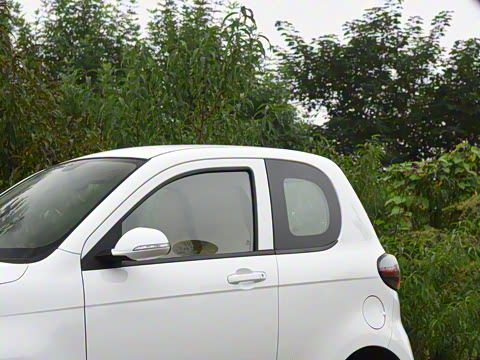 2021�� FOR-TwoС�Ի� ��Ԫ�