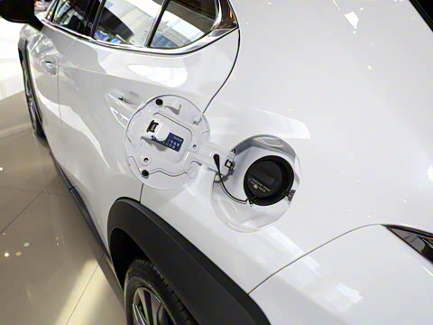 2020�� �Ŀ� 200 F SPORT��