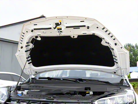 2021�� ������ 390TGDI �Զ���ҡ��