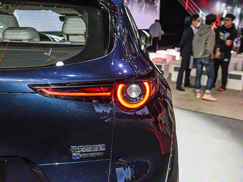 2021�� ����������