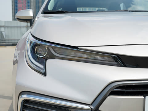 2021�� 2.0L ������