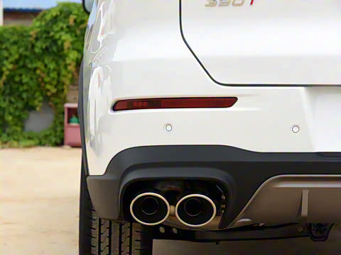 2021�� ������ 390TGDI �Զ���ҡ��