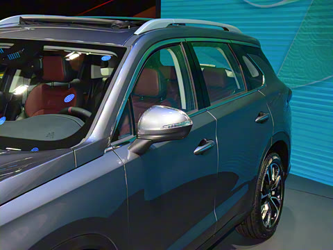 2021�� 390T �Զ��Ǽʰ�