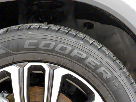 2021�� ������ 390TGDI �Զ���ҡ��