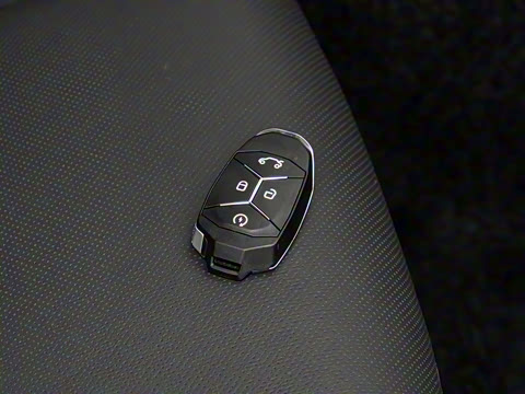 2021�� 1.5T PHEV Pro