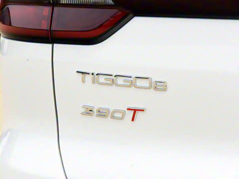 2021�� ������ 390TGDI �Զ���ҡ��