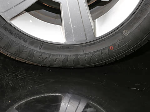 2021�� 1.5L �ͳ�����ʨ 5��