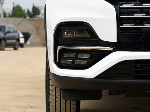 2021�� ������ 390TGDI �Զ���ҡ��