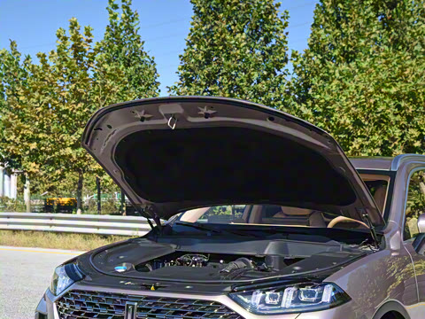 2022�� 1.5T DHT����